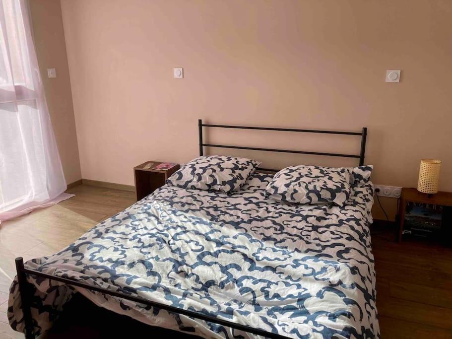 Quai Sud - Gare, 100 M2, Parking, Wifi, Superette, Lave Linge Lejlighed Angers Eksteriør billede