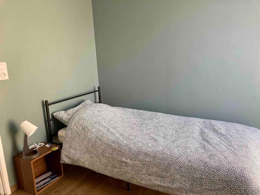 Quai Sud - Gare, 100 M2, Parking, Wifi, Superette, Lave Linge Lejlighed Angers Eksteriør billede